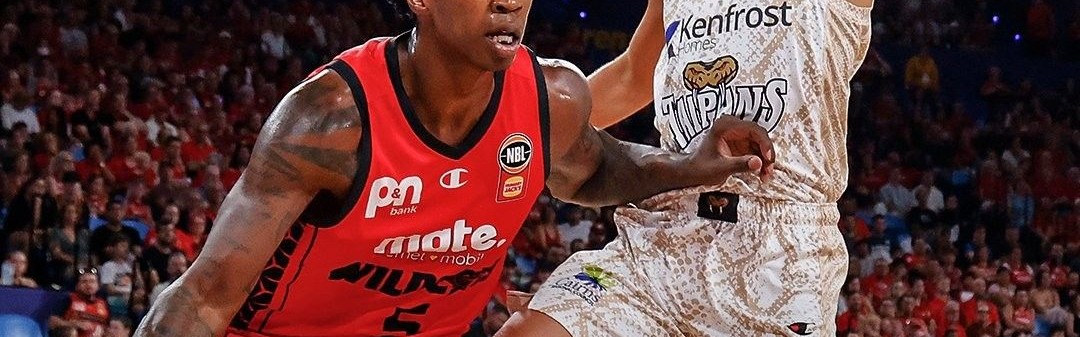 今天野猫稳了？野猫过去20场对阵太攀蛇17胜3负