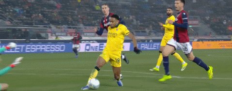 博米39.gif